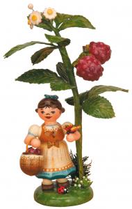 Herbstkind Himbeere 13 cm