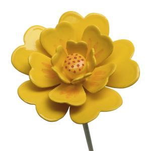 Mädchen mit Studentenblume Neu 2026